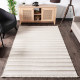 Tapis RENDY - 230 x 160 cm