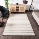 Tapis RENDY - 230 x 160 cm