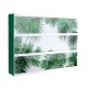 Boîte d'affichage lumineuse 30x21 cm - Green passion